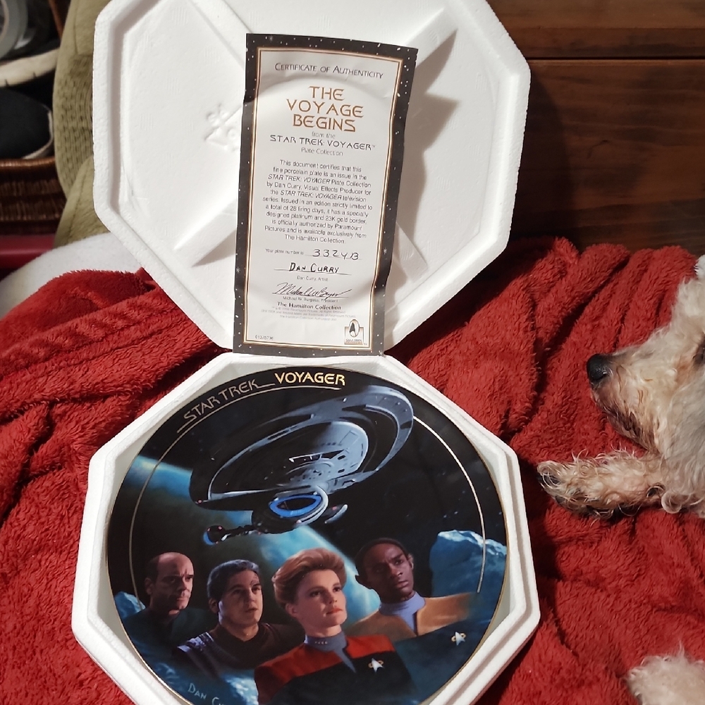 Star Trek Voyager Collector's Plate.